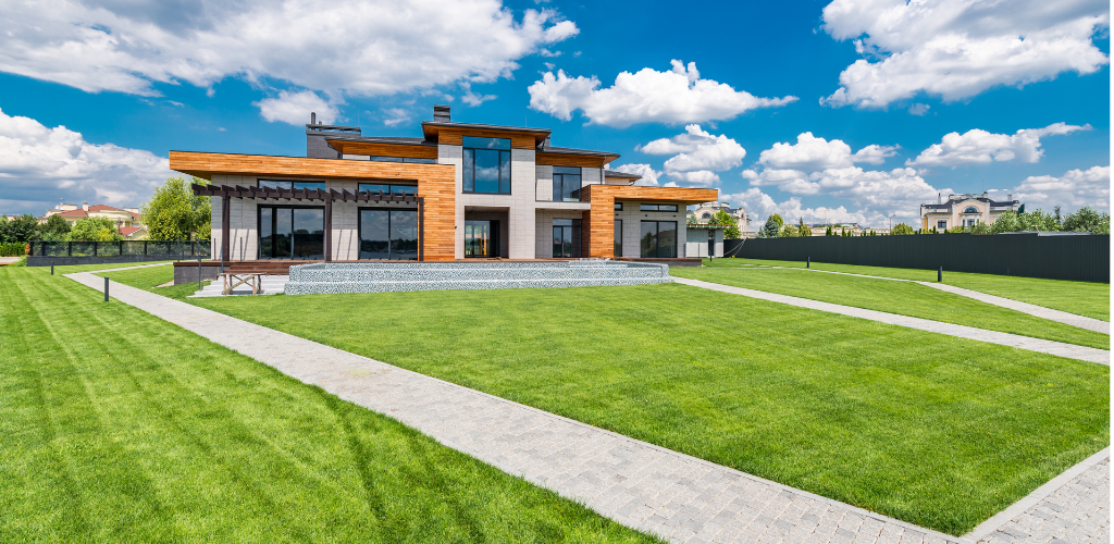 Beautiful landscaped yard